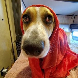 Meet your Posher, Gayla